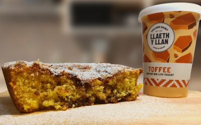Toffee and Chocolate Yogurt Cake