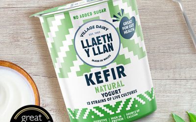 Kefir Yogurt: Natural