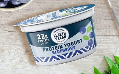 Protein Yogurt: Blueberry